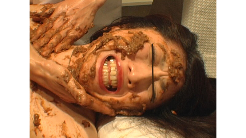 「美肌活性腸内還元エステ うんこ塗りたくり発酵美容法」のサンプル画像11枚目