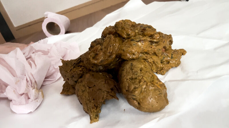 「伊藤のり子のトイレプレイ動画｜脱糞・放尿シーンをたっぷり収録した作品」のサンプル画像7枚目