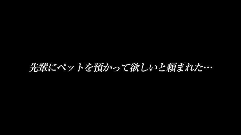 「日泉舞香 パイパン美少女M女が潮吹き中出しで乱れる！無口な彼女との同居生活」のサムネイル