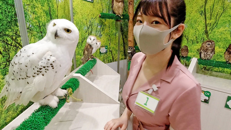 「【巨乳コスプレ】Gカップ美女のパイズリ＆ハメ撮り中出しSEX！四つん這いで激しく交わる20歳」のサムネイル